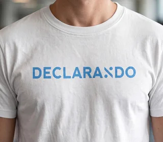 Proyecto para Declarando